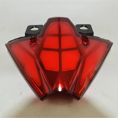 Motorcycle tail 500 Z500 2024-2025 Modified - red