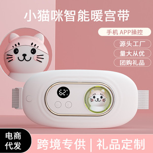 2025 Cross-Border New Model Warm Palace Waist Belt App Smart Heating Massage Belt Menstrual Massage Device Menstrual Relief Device