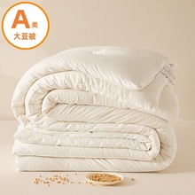 a类原棉大豆被夏被加厚冬被夏凉被空调被春秋被学生棉被礼品被子