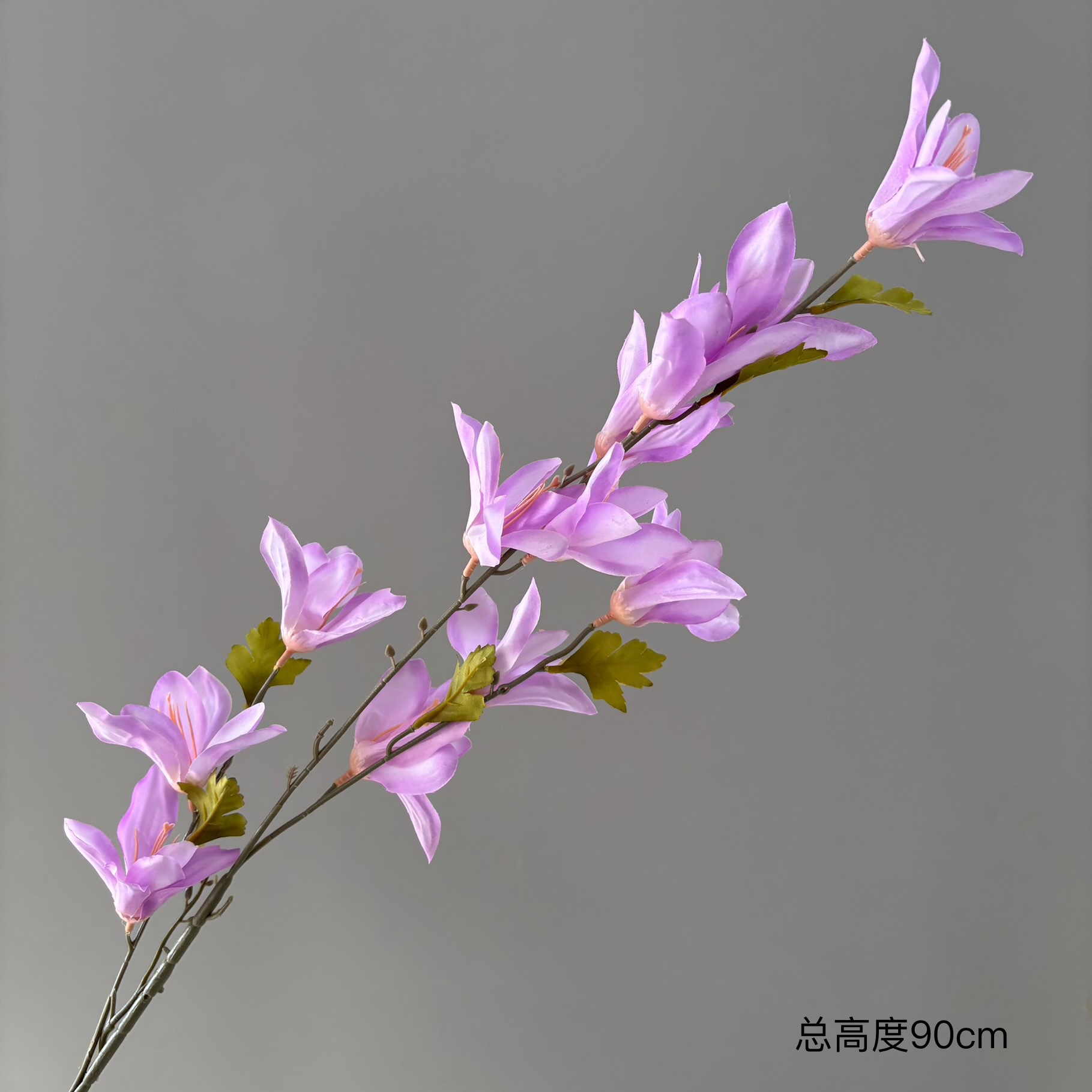 바람과 비 난초