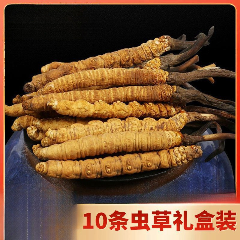 优品【野生虫草10根礼罐装】头期干货非西藏那曲冬虫夏草冬虫草