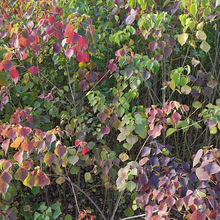 �������l ����С����t�~������� ����������ľ�t�~�������֘���