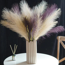 ���WINS�W�t���JȔ�ٻ��p�ݼҾ��b�����ƿ�[��ë�q����Ȕ��֮