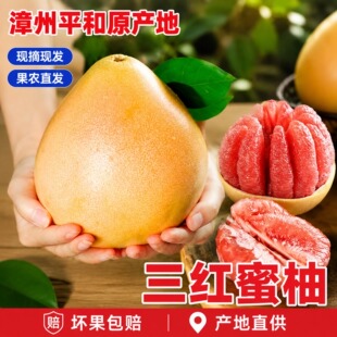 ����ƽ�����t�֬gϪ����Ƥ�����֭ˮ�S��8��2���4.5-8.5��ó�