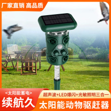 2025¿sstБB̫ҹҕ