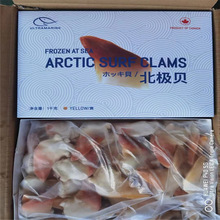冷冻加拿大黄金北极贝黄色北极贝刺身即食全规格10kg/件 量大价优