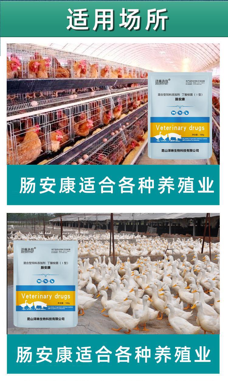 一键上货_20250810125339