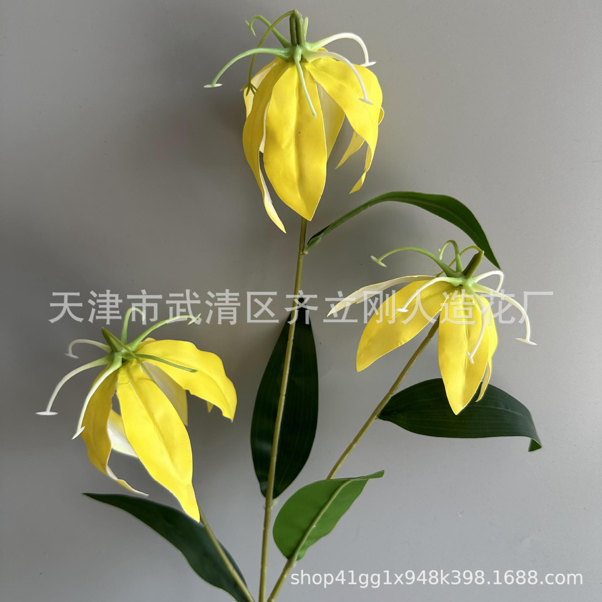 3호