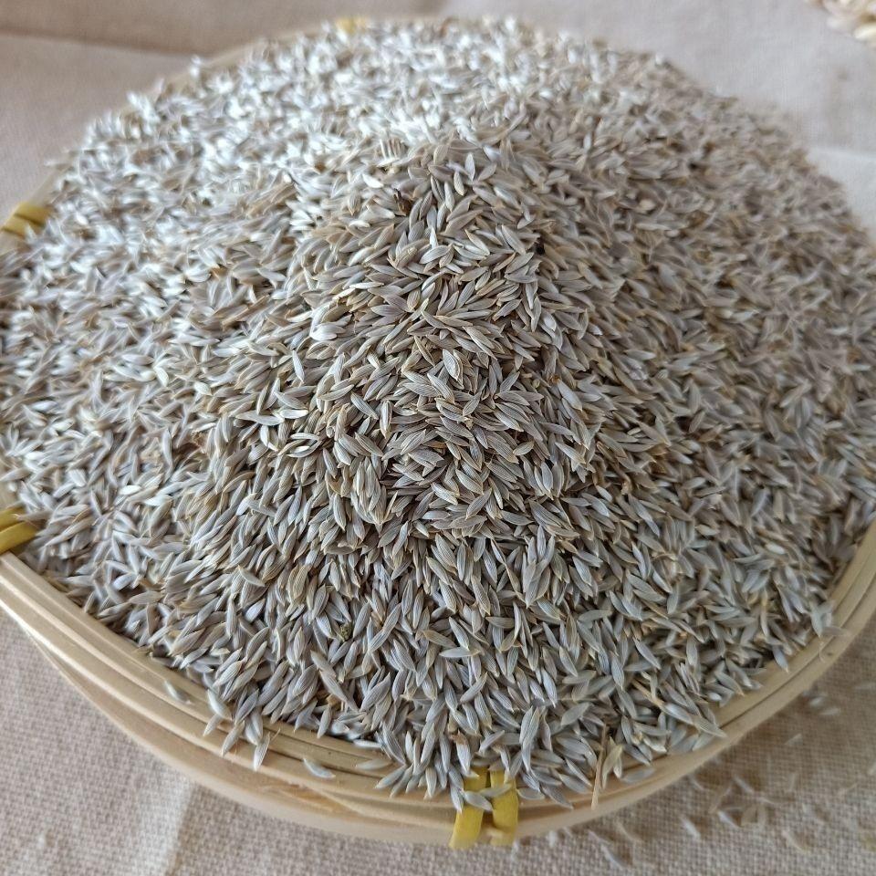 Lettuce Seed Sheng Cai Zi 500g Dried Whole Seeds Traditional Chinese Herb for Decoction and Tea specifications