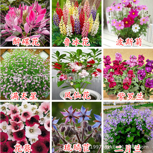 ���N�Ӵ�ȫ�ļ��׻�M���ײ��̨���Զ�N�������l����ՠ�ţ��