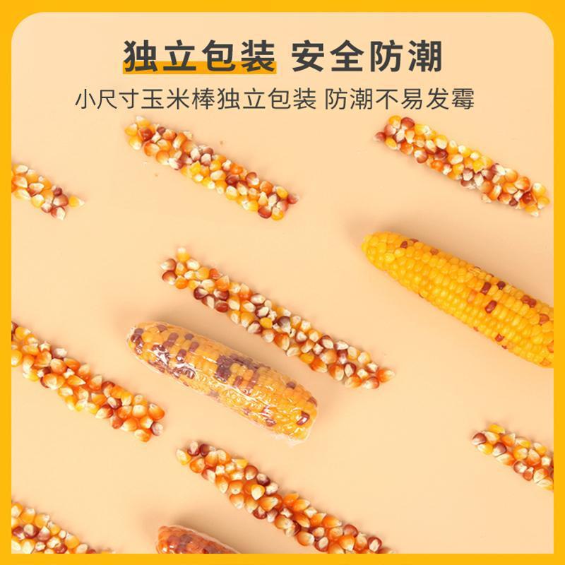 ミニコーン歯固めスティック、ハムスター、ウサギ、クマ、歯固めスナック用品、ゴールデンベアフード栄養|undefined