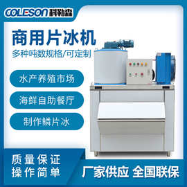 COLESON 300KG小型片冰机 海鲜食品片冰机 水产肉类保鲜鳞冰机