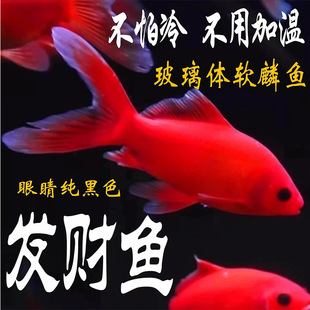 ��ˮ�W�^�~Ѫ�W�^�t���~�\����ˮ�^�p�~���w�~���B�ͻ�lؔ�~