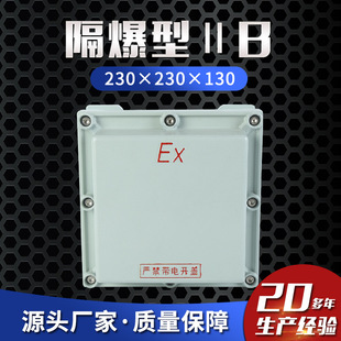 Wholesale Explosion-Proof Control Box Explosion-Proof Type Ii B 230×230×130 Explosion-Proof Junction Box Explosion-Proof Distribution Box