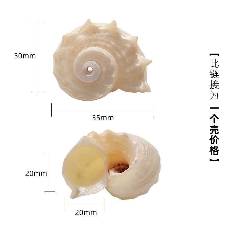 X48 작은 발광 해마는 3cm 이상의 게에 적합합니다.