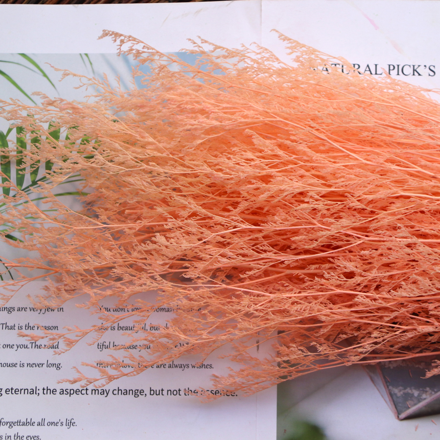 Light orange 100 grams per bunch