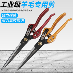 ����ë�ļ�����ë�����քӽg�d��ë���Ï����ù�ë��̖������ë��