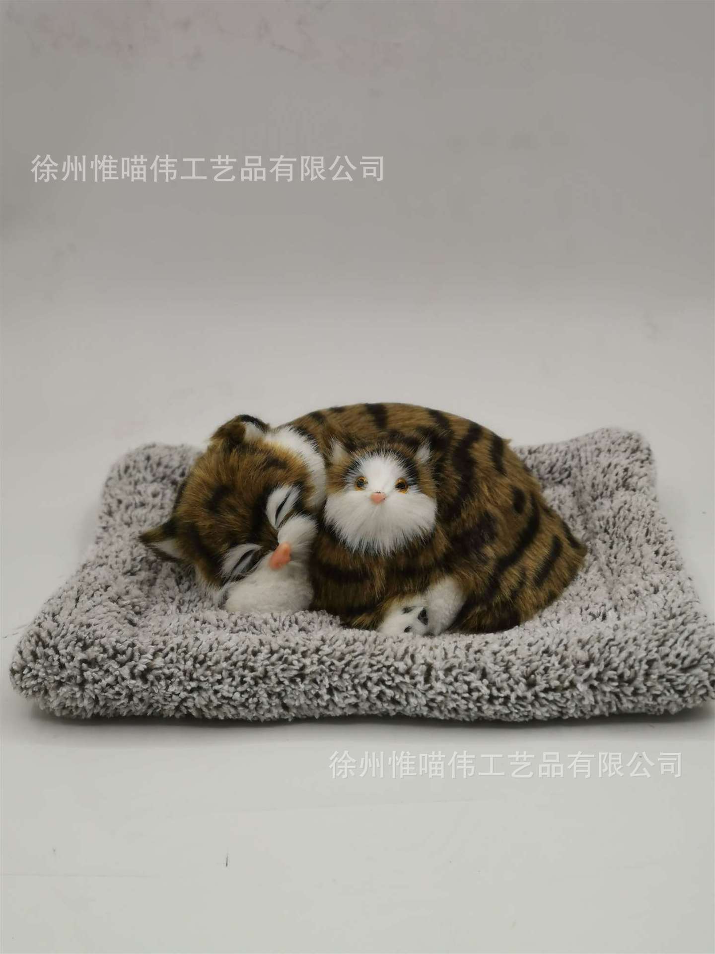 Madre-hijo Gato Castor Cuckoo + Grey Haired Caterpillar