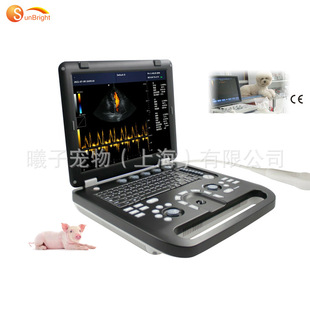 Foreign Trade Veterinary Colorful Doppler Ultrasound Diagnostic System Cat and Dog Pet B-Ultrasound Machine Color Ultrasound Machine Manufacturer