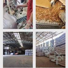 �����|�w��ȼ����ľ�w���͟����Ñ���ȡů�t偠t�ڠt���ܟo��