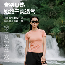 灰壳美利奴羊毛速干衣女短袖T恤上衣圆领户外运动登山徒步跑步