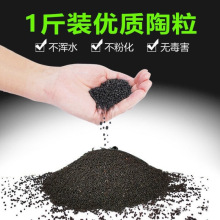 ˮ�������ɳ����ɰ�մ�ɳˮ������~�׵�ɰˮ�N�ӷNֲ���쾰���l