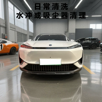 dustproof net, modification accessories, front – Automobile anti-insect net
