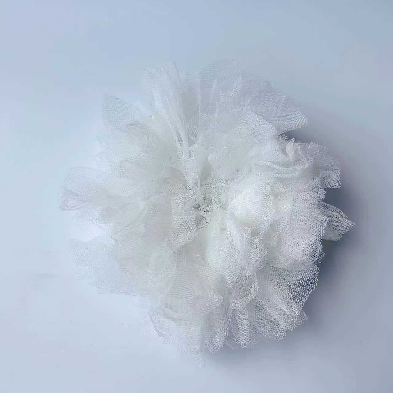 하얀색