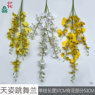 �¿�����֧7�����ӭ���������m���� �Ҿӿ͏d����b[��