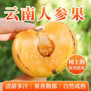 ��Ϙ������˅������ʯ�֮a�؈A�����rˮ������