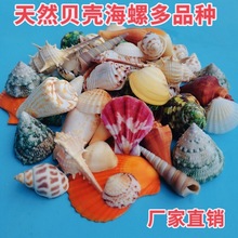 ��Ȼ����ؐ������ˮ�����쾰΢���^Ư��ƿ���diy�ֹ�����