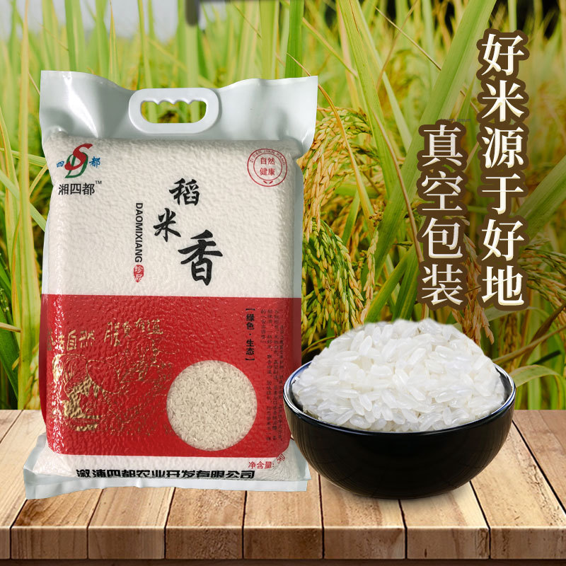 湖南大米5kg稻米香特产珍珠米10斤厂家批发会销礼品优质粳米