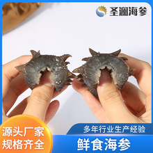 Դ^SҴBrʳʳ_ʳl|oڸQ