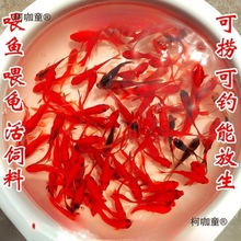 �ݽ�����С�~��ˮ���B���ͻ����ˮ�~�^�p�~����С���~���~��̫��