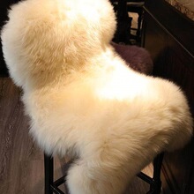 �������޼���ëɳ�l�|��ë��̺���������Ή|�h���|��߅̺���W��g^