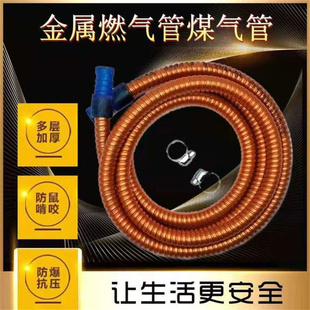 Household explosion-proof gas pipe natural gas pipe liquefied gas gas pipe water heater gas stove connecting pipe metal hose