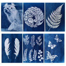 A4A5A6�׵��{��CyanotypePaper�й⼈̫�ˇ�g������̫ꖴ�ӡ��