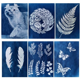 广告扇;动漫立牌;画纸、画布