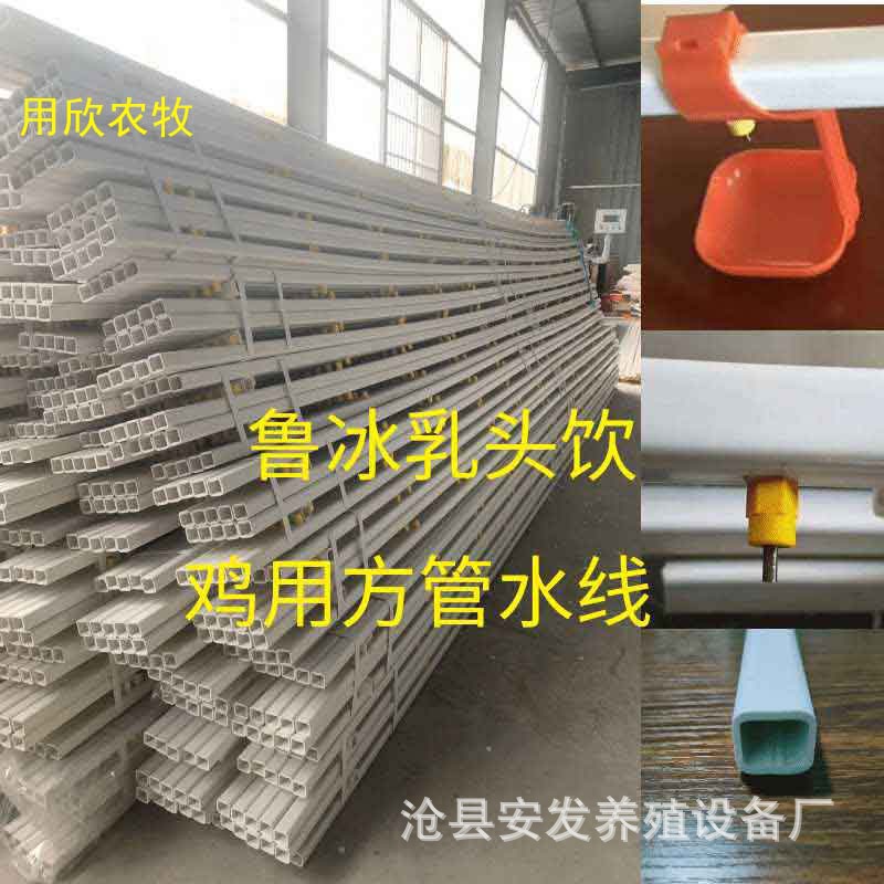 鸡舍新款鸡鸭管接头方管养殖鲁冰乳头鸡用水嘴吊杯接水水线管PVC