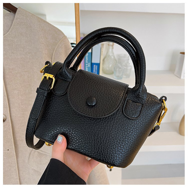 Trendy Designer Small Handbag for Women, New 2025 Popular High-End Crossbody Spring/Summer Hot Item