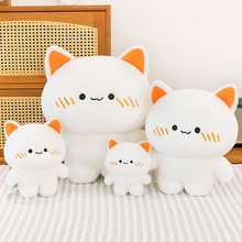 卡通软萌可爱猫咪公仔玩偶小白猫泰迪熊毛绒玩具儿童睡觉抱枕礼物