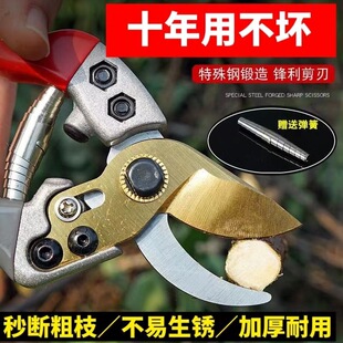����ͬ���SK5���֦�����������֦�����@�֌���ʡ����֦��