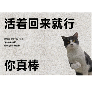 �羳���Ȍ���zȦ�؉|�����������T�|���R�dtemu���l�؉|��̺