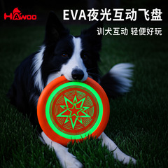 犬のフリスビーは犬専用の夜光ペットのフリスビーのおもちゃを噛んで耐えます。