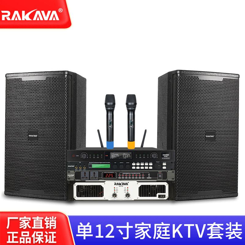 Rakava Single 12inch Complete Set for Home Living Room Ktv Family Singing Professional Smart Karaoke Machine for Living Room