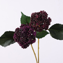 �羳���滨ܛ�z���ӈ@�ֻ��Լ�ֲ������С���ӻ�֦�廨������l