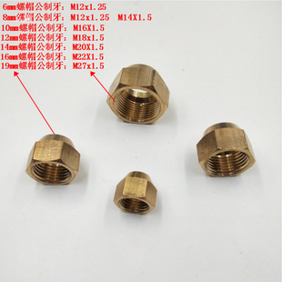 �~�{�ӿ��{�~��ĸ ���ȿ���ñ���{�U����ĸ�~���iĸ��ñ�������