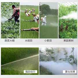 批发背负式农用喷雾机汽油30L果园杀虫喷粉机多用途饲料化肥播种
