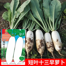 lˈ@߲˷NӶ~ʮ}25̨ԺӲяSҹ