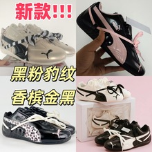 PM��ԭRose�Ӳ�Ӣ��ِ܇Ь��H��͹Űٴ��ӖЬ���e���s��Ь